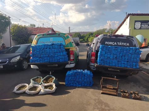 PM encontra centenas de tabletes de maconha enterrados em sítio no