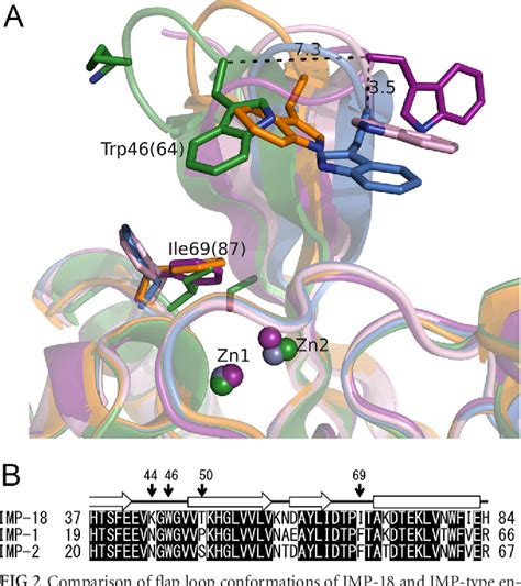 PDF Structural And Mutagenic Analysis Of Metallo Cid 2 Lactamase