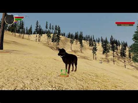 WolfQuest Anniversary Edition Gameplay - YouTube