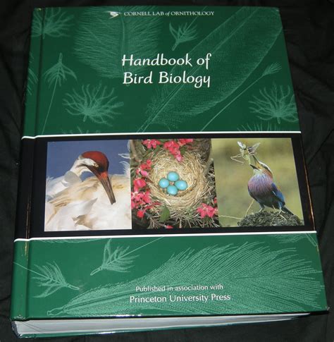 Cornell Lab Of Ornithology Handbook Of Bird Biology [review Part 1]