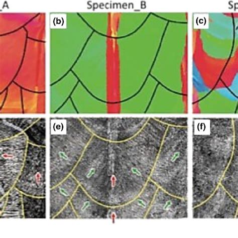 A Sem And B Ebsd Ipf Map Of Lpbf Am Ti6al4v Cube From Yz Plane And C