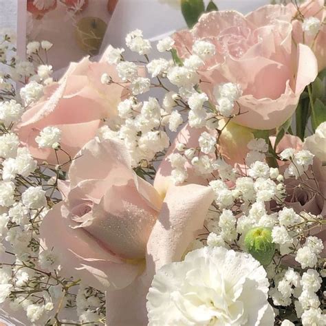 Goldsvn Pastel Pink Aesthetic Flower Aesthetic Pretty Flowers