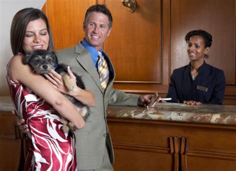 The Truth About Pet Friendly Hotels | PetMD