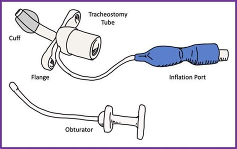 Tracheostomy Purposes Indications Risks We Care