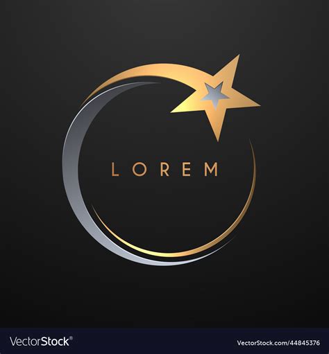Gold And Silver Circle Star Logo Template Vector Image