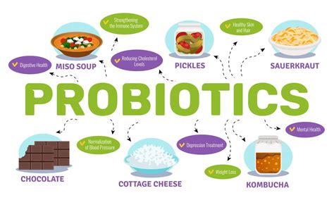 What Is The Best Time To Take Probiotics Healthxtips