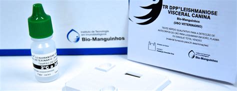 Dpp Leishmaniose Canina Bio Manguinhos Fiocruz Inova O Em Sa De