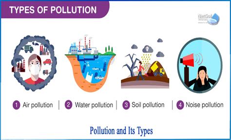 What Is The Pollution And Its Types Netsol Water