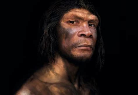 Los neandertales se extinguieron hace miles de años pero ahora hay más