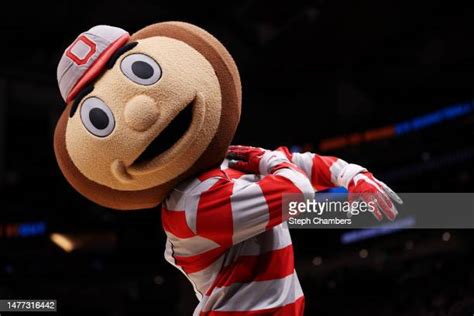 Ohio State Buckeyes Mascot Photos and Premium High Res Pictures - Getty ...