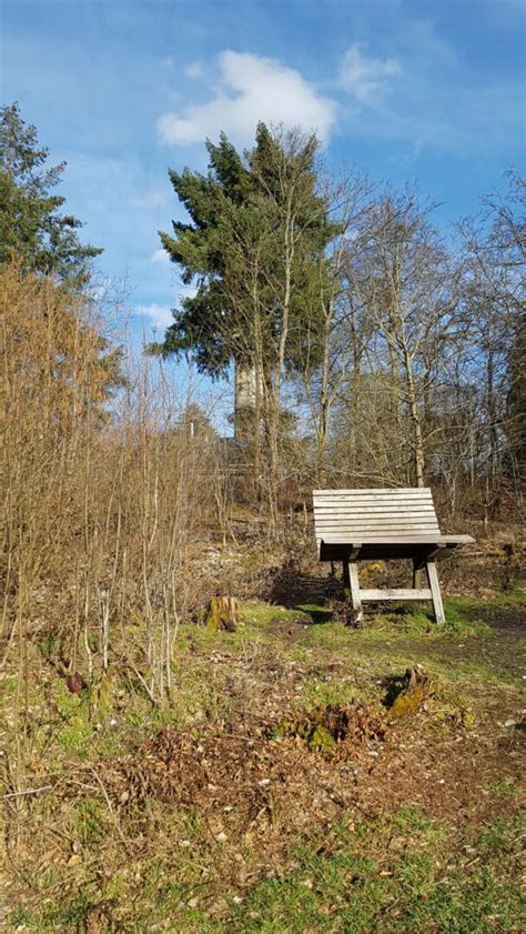 Der Dünsberg | Dünsberg-Verein e. V.