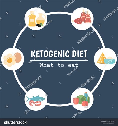 Foods Infographics Ketogenic Diet Concept Keto Stock Vector Royalty Free 1438791182 Shutterstock