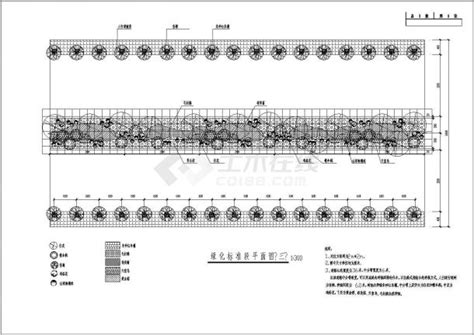 道路绿化标准段平面图、横断面、立面图及绿化大样图交通绿化土木在线