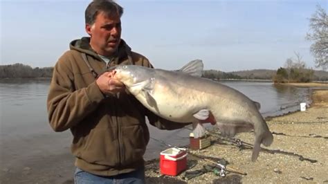 Basic Guide To Catching Big Catfish Youtube