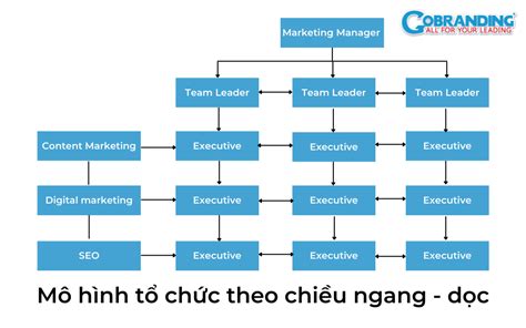 5 chức năng của phòng Marketing trong công ty