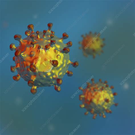 Hepatitis C Virus Illustration Stock Image C Science