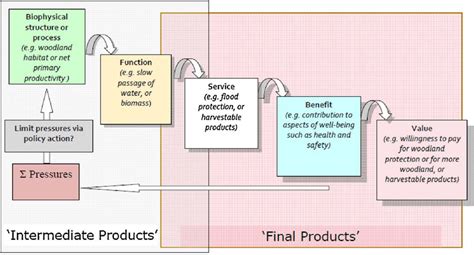 From ecosystem structure and function to ecosystem services, benefit ...