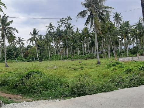 Lot Only Lots 🚜 October 2024 In Hilongos Leyte For Sale