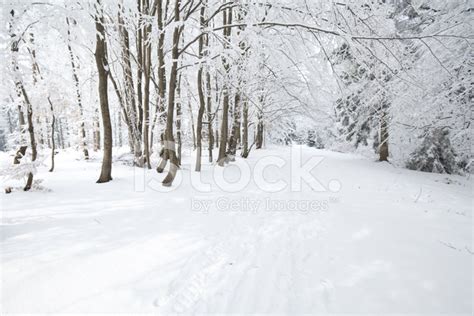 Beautiful Winter In Poland Stock Photo | Royalty-Free | FreeImages