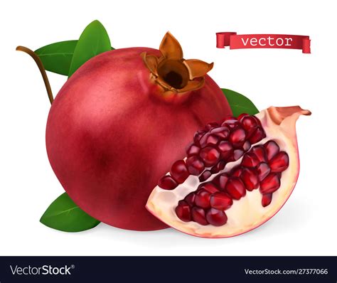 Pomegranate Image Fresh Fruit 3d Realistic Icon Vector Image