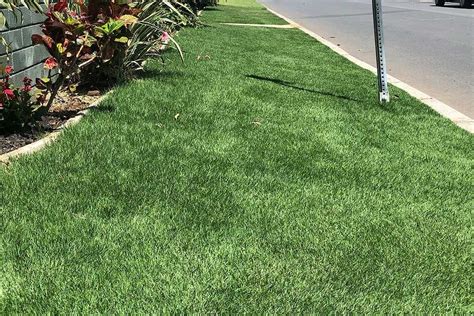Zeon Zoysia Birmingham Sod Company Sod Installation And Delivery