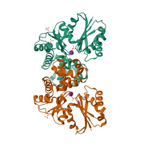 Rcsb Pdb Ow Crystal Structure Of Tannerella Forsythia Sugar Kinase