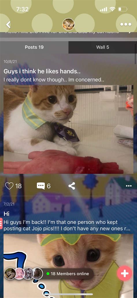 The Cat Jojo Poster Is Back Jojo Amino Amino