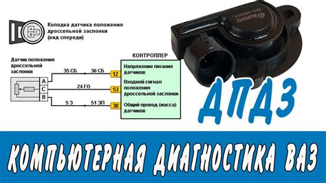 Диагностика ДПДЗ - YouTube