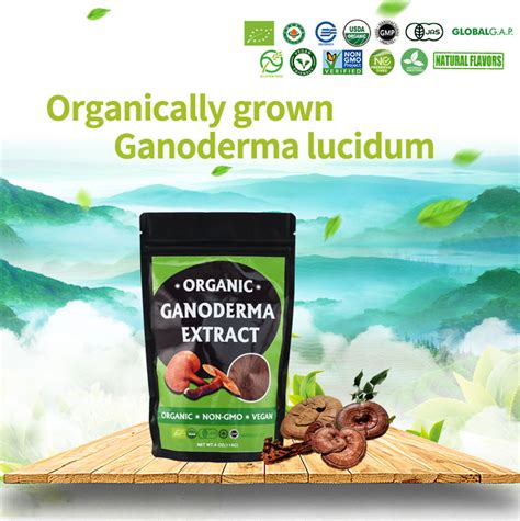 Organic Bio Herb Mushroom Suppliers Lingzhi Ganoderma Lucidum Reishi