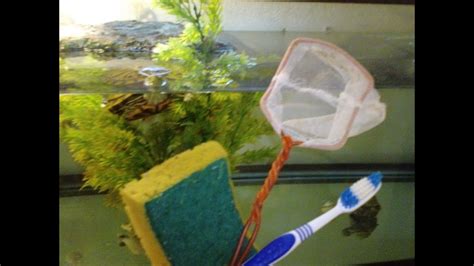 Sparkling Clear: The Ultimate Guide to Cleaning Turtle Tank Glass for a Healthy Habitat - Paws ...