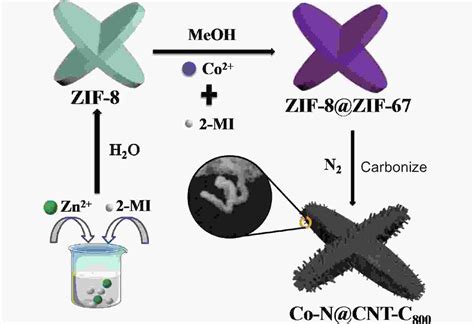 A Carbon Catalyst Doped With Co And N Derived From The Metal Organic