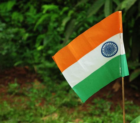 India National Flag Free Photo Download | FreeImages