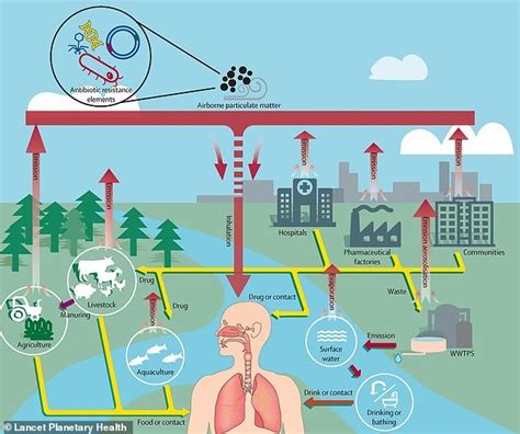 Air Pollution Linked To Rise In Antibiotic Resistance Insights Ias