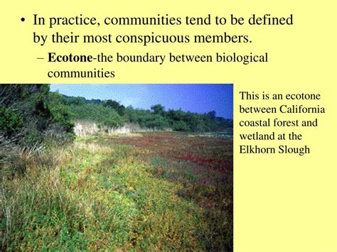 Ppt Biological Communities Powerpoint Presentation Free Download