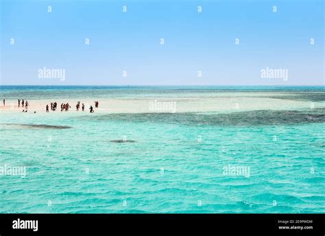 Beautiful Places In The Red Sea Sinai Peninsula Coral Reef The White