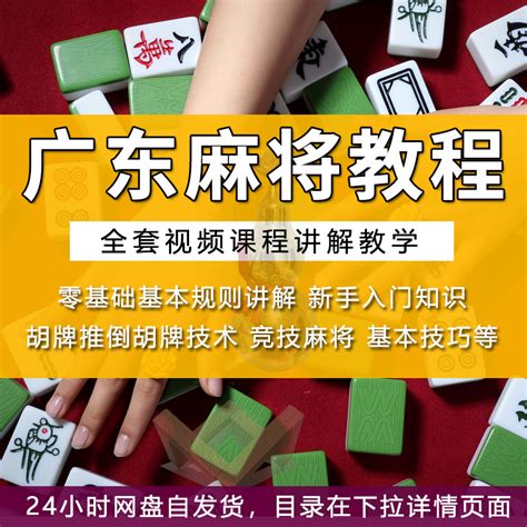 广东麻将教程视频新手入门基础教学自摸推倒胡听技术实用赢牌技巧虎窝淘