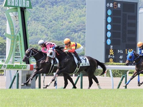 【新馬小倉6r】ヒバリが差し切ってv！デビュー戦を快勝 2019年8月4日掲載 ライブドアニュース