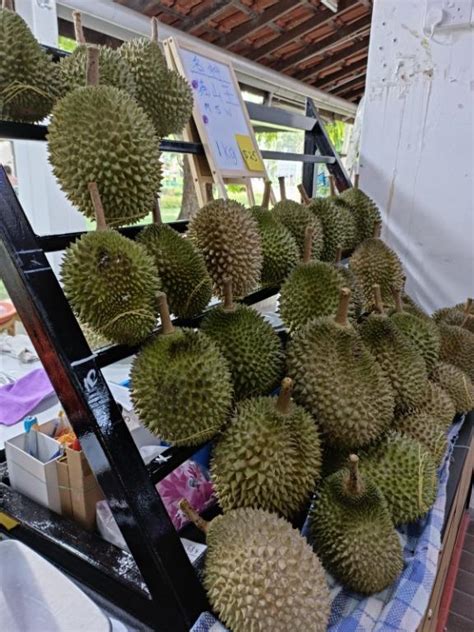 Msw Mao Shan Wang Musang King Durian G Box Self Collect Or Delivery