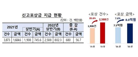 내년 1월부터 보험사기 신고하면 포상금 최고 20억원