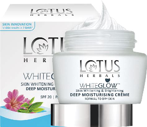 Lotus Herbals Logo Png