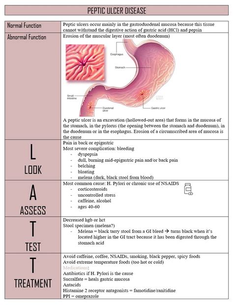 Peptic Ulcer Disease Artofit