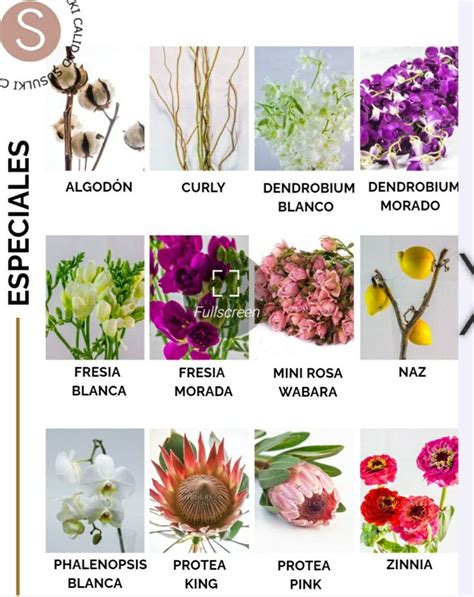 Pin De Alma Turcott En Flores Y Follajes Jardineria Y Plantas