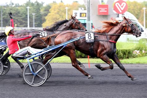 Trot Josh Power Pr Pare Son Retour