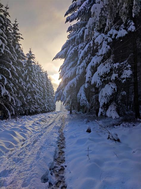 12 balades hivernales à faire en Belgique Trekking et Voyage