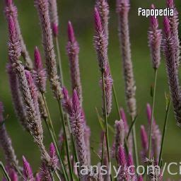 Cinderella Girl Nude OnlyFans Leaks Photo 2842016 Fapopedia