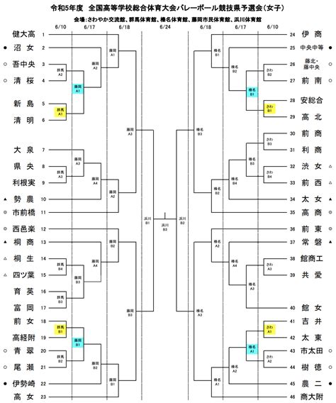 群馬 2023インターハイ｜全国高等学校総合体育大会バレーボール県予選 要項･組合せ