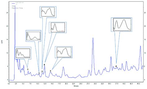 Representative Hplc Dad λ 254 Nm Chromatogram Of Mammillaria