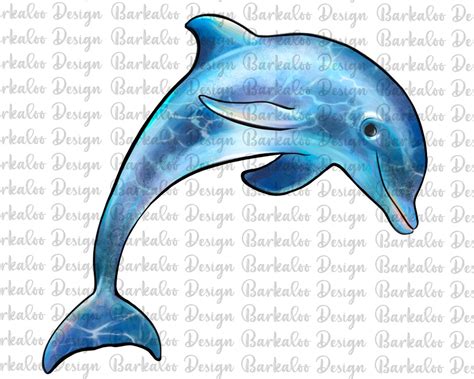 Dolphin Png Sublimation Design, Hand Drawn Dolphin Png, Dolphin ...