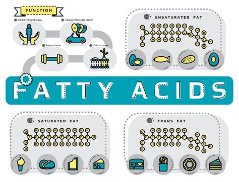 Health Benefits Of Essential Fatty Acids Facty Health