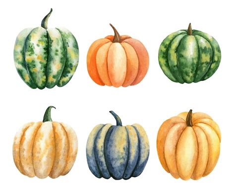 Premium Vector Watercolor Pumpkins Set